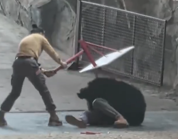 照片來源：微博@鷺棲花園