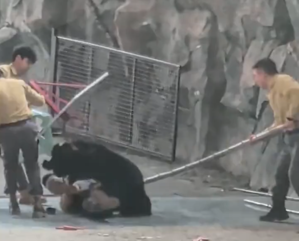 照片來源：微博@鷺棲花園