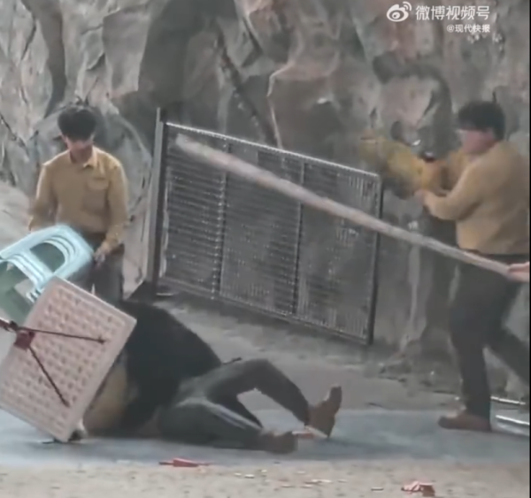 照片來源：微博@鷺棲花園