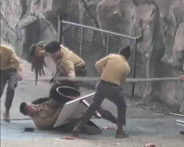 照片來源：微博@鷺棲花園