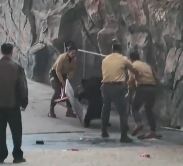 照片來源：微博@鷺棲花園