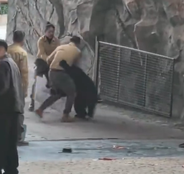 照片來源：微博@鷺棲花園