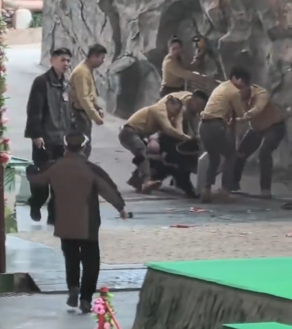 照片來源：微博@鷺棲花園