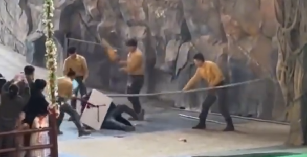 照片來源：微博@鷺棲花園