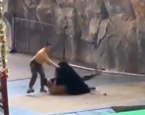 照片來源：微博@鷺棲花園