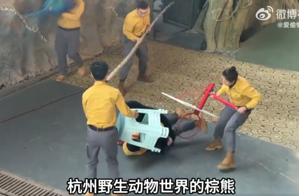 照片來源：微博@愛偷懶的劉女士