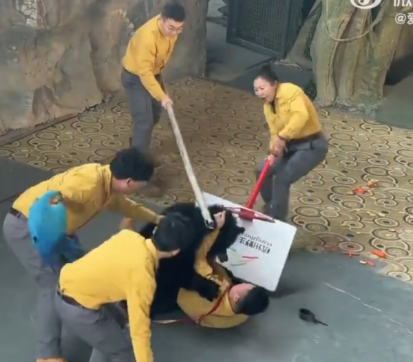 照片來源：微博@愛偷懶的劉女士