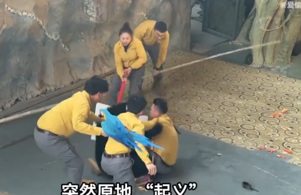 照片來源：微博@愛偷懶的劉女士