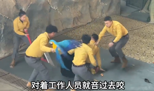 照片來源：微博@愛偷懶的劉女士