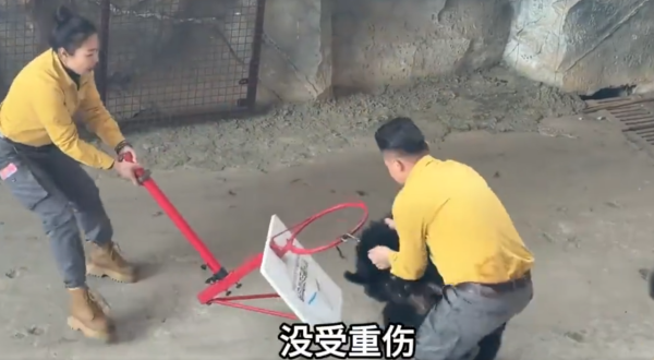 照片來源：微博@愛偷懶的劉女士