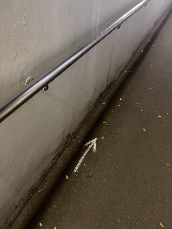 沙田驚現詭異「粉筆箭嘴陣」？沿路指往隧道盡頭寫ON HOME 真相超暖心