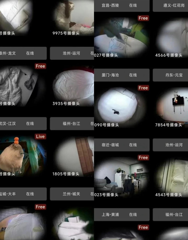 外遊住酒店小心被「直播」！iPhone 隱藏功能秒變「偷拍剋星」？  2 步即令針孔鏡頭現形【唔使買探測器！】