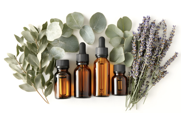 帶支蘆薈膏當走私？海關嚴打瀕危成分 這款蘆薈護膚品一帶充公罰款 