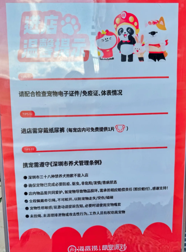 照片來源：小紅書@七七小王子