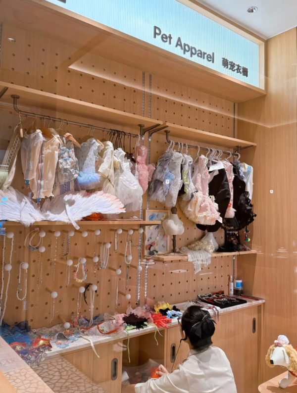 照片來源：小紅書@七七小王子