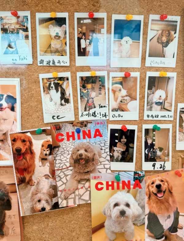 照片來源：小紅書@七七小王子