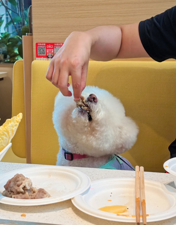 照片來源：小紅書@七七小王子