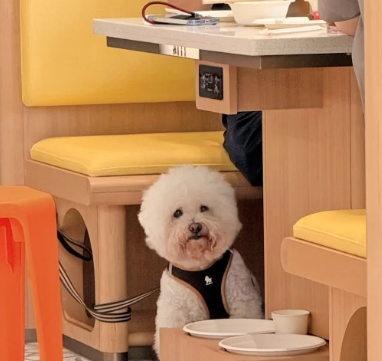 照片來源：小紅書@七七小王子