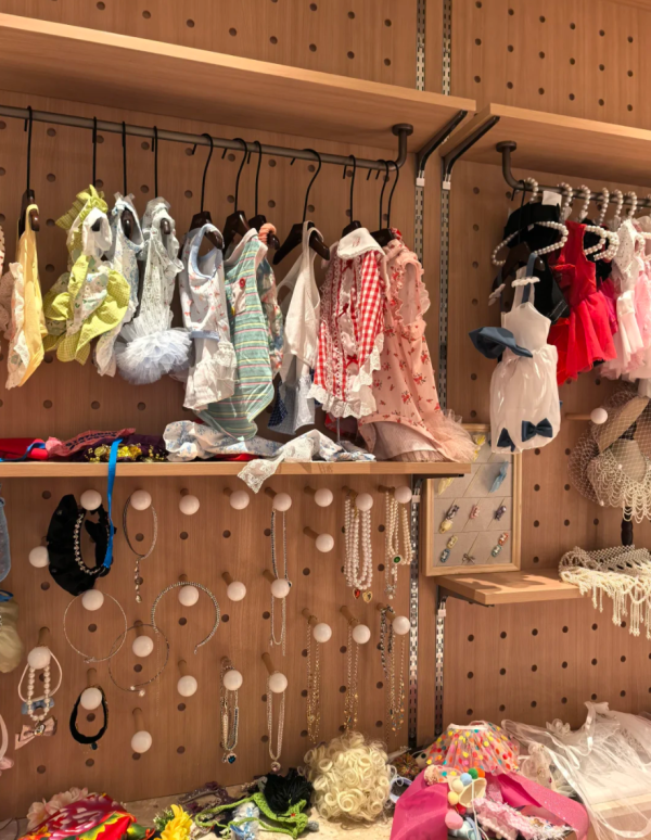 照片來源：小紅書@黑柴是一只可以