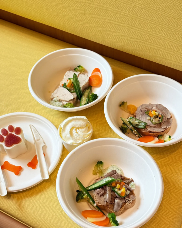 照片來源：小紅書@3y