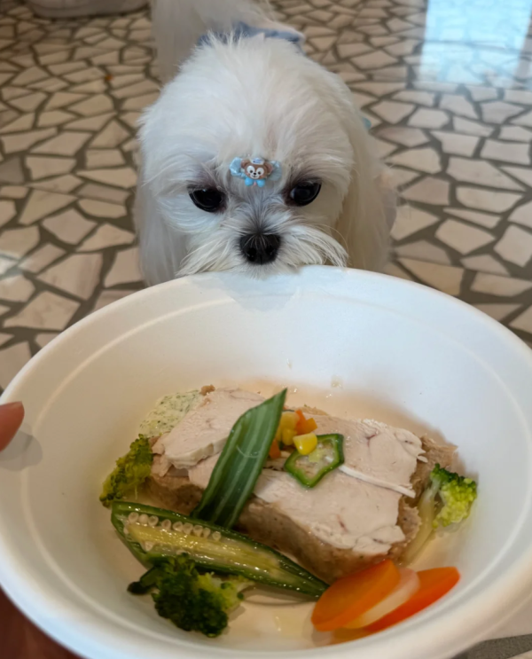 照片來源：小紅書@3y