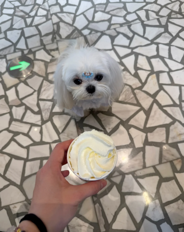 照片來源：小紅書@3y