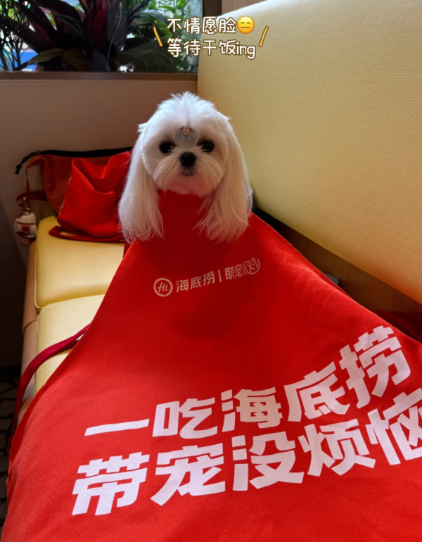 照片來源：小紅書@3y