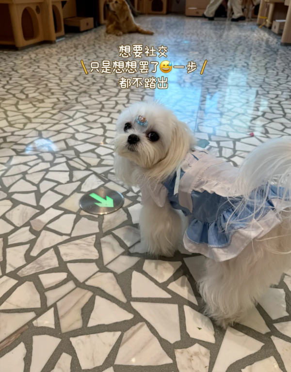 照片來源：小紅書@3y