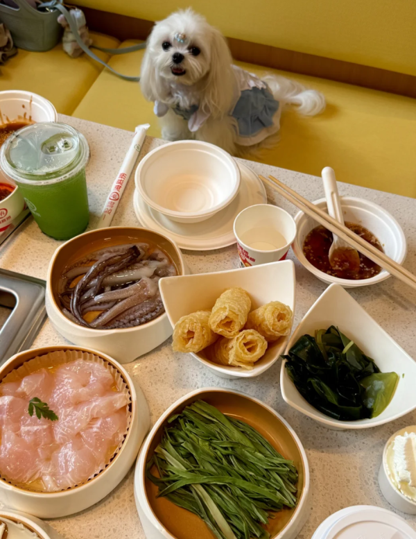 照片來源：小紅書@3y