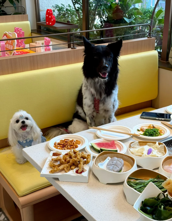 照片來源：小紅書@3y