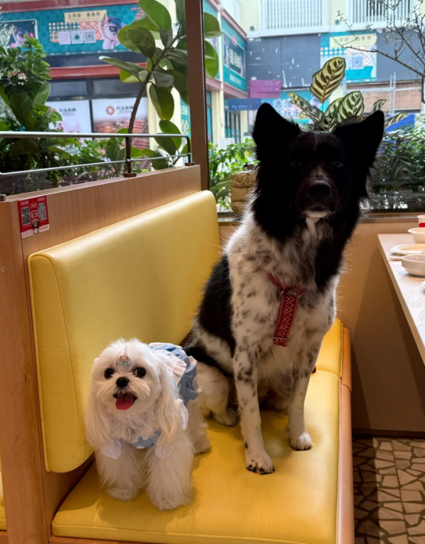 照片來源：小紅書@3y