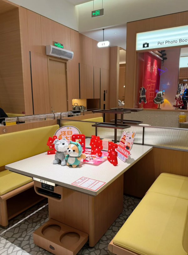 照片來源：小紅書@戴无畏