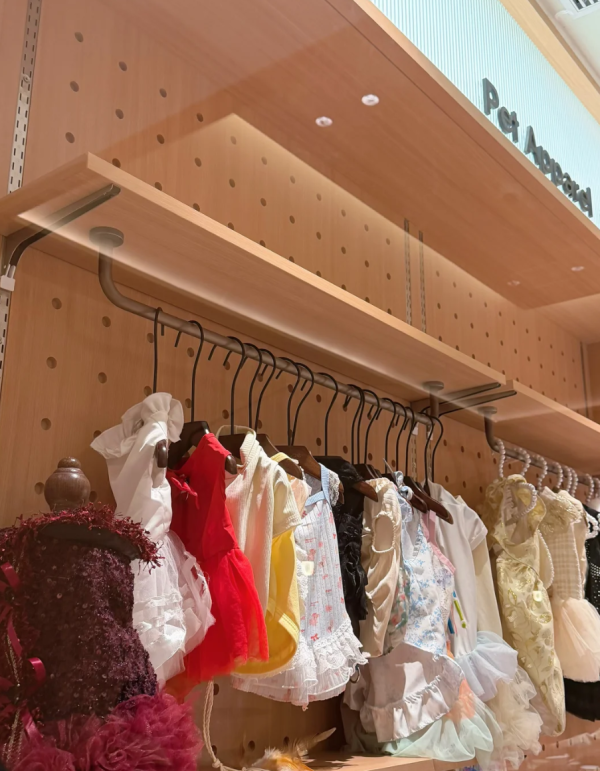 照片來源：小紅書@戴无畏