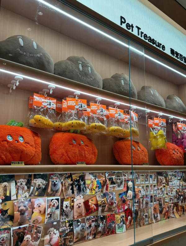 照片來源：小紅書@戴无畏