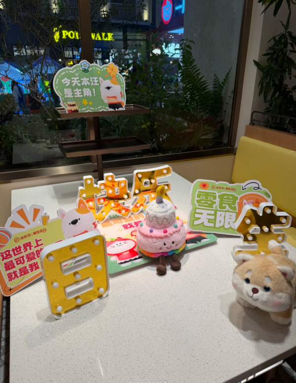 照片來源：小紅書@戴无畏