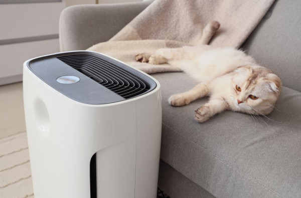 （圖片來源︰Canva）