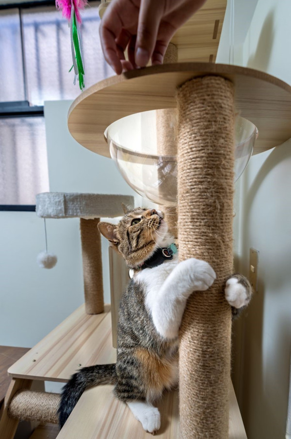 （圖片來源︰Canva）