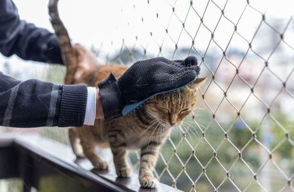 （圖片來源︰Canva）