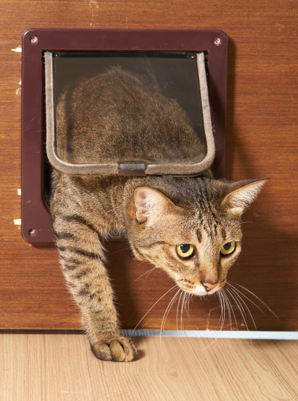 （圖片來源︰Canva）