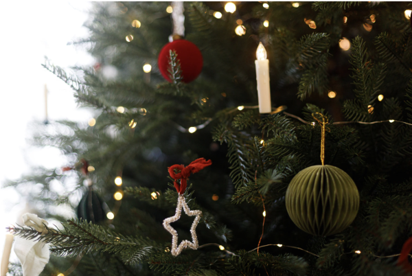 有片慎入！北上過聖誕度假村玩圍爐 做錯1步變人肉火球3遊客遭烈焰吞噬 