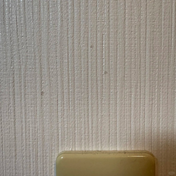 地板牆紙花晒要重鋪?12蚊店「科學綿」實測!免剷底去漬 網民:慳返10萬裝修費