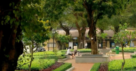 照片來源：小紅書@王子子子子子。