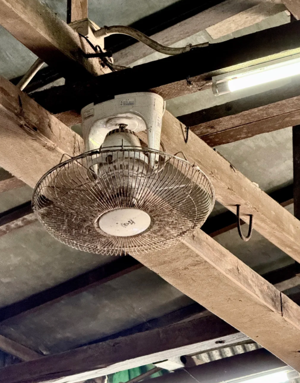 照片來源：小紅書@Kai豬的旅行日記