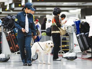 (Japan Customs官網) 日本入境藥物|看門口藥變違禁藥?小心2項成分+份量限制 誤帶隨時被海關扣查