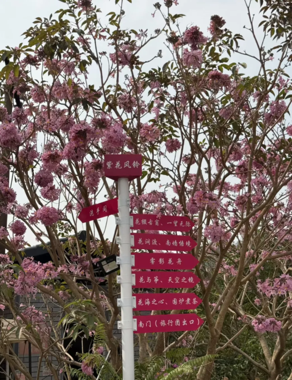 照片來源：小紅書@茂名老彭友