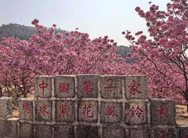 照片來源：小紅書@旅小欣