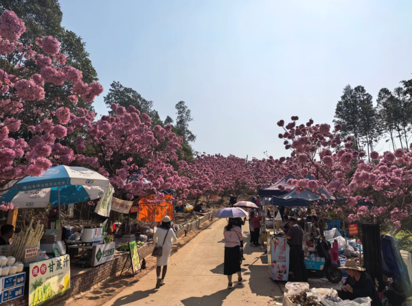 照片來源：小紅書@旅小欣