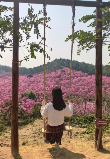 照片來源：小紅書@旅小欣