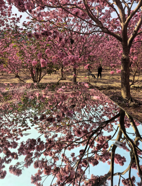 照片來源：小紅書@旅小欣