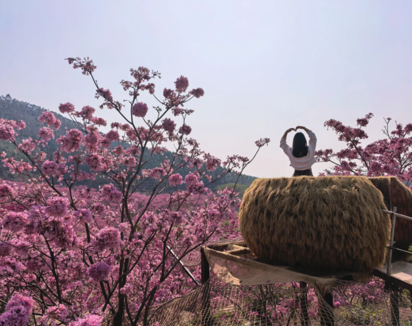 照片來源：小紅書@旅小欣